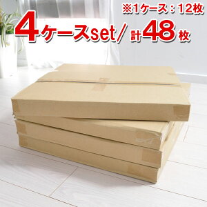  􂦂(EHbVu) ^CJ[ybg h 4P[XZbg(48) 40×40cm/(10FWJ) s^b  ͂܂ zbgJ[ybgEgΉ Yh~ ~ n pl J[