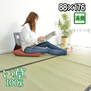 い草 1畳マット ラグ 1畳1帖 カーペット 夏用(赤ちゃん ペットOK)い草カーペット ラグ 畳の上に敷くもの いぐさ(88×176cm)上敷き 御座 ゴザ 和室 洋室 リビング イ草(消臭・防カビ・涼感)モダ