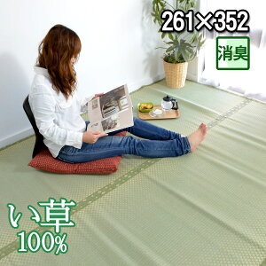  6}bg O 66 J[ybg ėpiԂ ybgOKjJ[ybg O ̏ɕ~ (261×352cm)~  SU a m rO C(LEhJrE)_