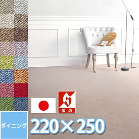 󥲥 ˥ 饰 Ϥÿ  ˤ ɱ 220250cm 6ͳݤ ɱ ɥ  塼()΢Ϥǥˤʤˤ ֤ Ҷ ӥ  μ 륮к 륷  ¿ǽ ٤륫顼˭ ݴ  饤2sg(C-0322109)