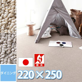 抗菌消臭 ラグ 220×250cm ダイニングテーブル用(6人掛け) 長方形 防炎 防ダニ 抗ウイルス 多機能 カーペット おしゃれ 赤ちゃん ラグマット 2色展開 オシャレインテリア 子供部屋 日本製 サンペンタゴン2・プレーン