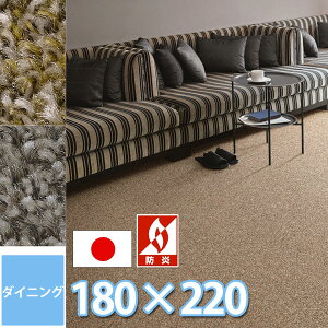 TQc _CjO O }bg h_j R h 180×220cm 4l|e[up ` J[ybg ё ӂӂ lɂ₳SES { Ԃ 2FWJ JbgpC 