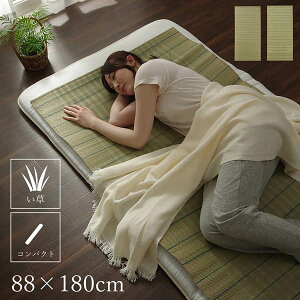  ~pbh V[c Q ~zc̏ɒu R hL L z  ׂ Ȃ 88×180cm VO RpNg [ sv Q Q] v  ėp  