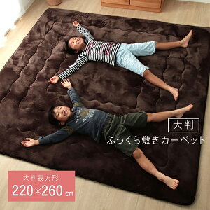  O 30mm ~zc 220×260cm O LO uE 􂦂 tl Ȃ߂炩^b` ӂ~J[ybg ΍ OBDyikz