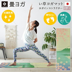  K}bg { 60×180cm KCXgN^[F K}bg  킢 IV   }bg Y CeA g[jO CeA}bg 􃈃K Xgb` b