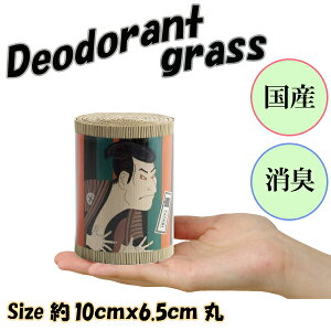 YC100%  { L ̓ Mtg 蕨  RpNgTCY VRC rO  gC  L L ^oRL ybgL gCL VRf fIOX ̕(