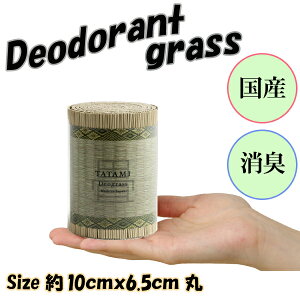 YC100%  { L ̓ Mtg 蕨  RpNgTCY VRC rO  gC  L L ^oRL ybgL gCL VRf fIOX TATAMI 