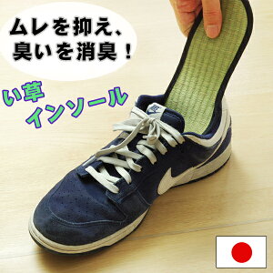  C\[ L ~  ̏L΍C Y fB[X LbY j  q {   17cm`32cm lCr[ Y   vC  Mtg Xj[J[  qp 