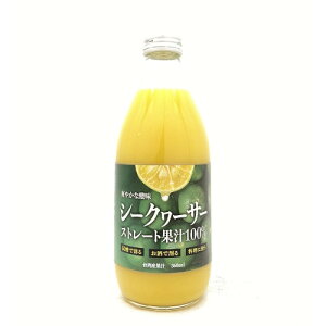 N쏤 V[N@[T[ipYj 100 360mlryRPCzyy_yjcƁzyy_jcƁzyYOUNG zonezyMtgz