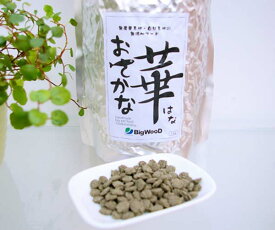 ビッグウッド おさかな華2.5kg