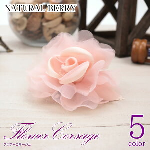 p[[tt t[RT[W fB[X  2 yEP[XtzyszySALEz