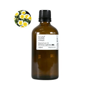 y{fBg[ggɁzhEtH[ICij 100mly}֎w菤iz艻ϕi  A VRIC {fBIC }bT[WIC wAPA XLPA