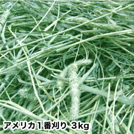 ウサギ 牧草 チモシー うさぎ 2025新刈り入荷 【あす楽】アメリカ産チモシー 一番刈り シングルプレス 3kg 【チモシー】【ウサギ　エサ】【牧草】