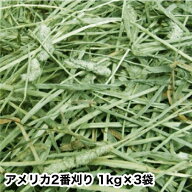 2025新刈り入荷 ウサギ 牧草 チモシー うさぎ 【送料無料】アメリカ二番刈りシングルプレス1kgx3　モルモ…