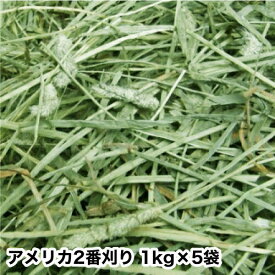 ウサギ 牧草 チモシー うさぎ 【送料無料】アメリカ二番刈りシングルプレス1kgx5袋モルモット チンチラ テグー ティモシー 餌 フード　ウサギ エサ　うさぎの牧草楽天 市場 牧草 青い 緑 やわらか やわらかい ss020506