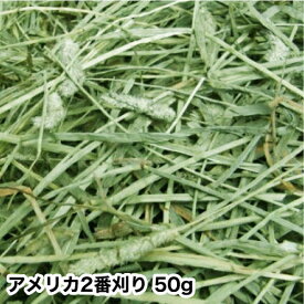 2025新刈り入荷 ウサギ 牧草 チモシー うさぎ 【メール便のみ送料無料】 アメリカ二番刈り アメリカ US 2番 刈り チモシーシングルプレス　50gウサギ エサ モルモット フード 兎　モルモット　牧草 格安 うさぎ 用品うさぎの牧草　　楽天　市場　牧草