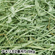 2025新刈り入荷 ウサギ 牧草 チモシー うさぎ チモシー　アメリカ二番刈りシングルプレス　5kg うさぎ、…