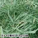 ウサギ 牧草 チモシー うさぎ 2025年産新刈り入荷 送料無料 1kgx5袋 カナダ 産 2番刈り 二番刈りチモシー 1kgx5袋 う…