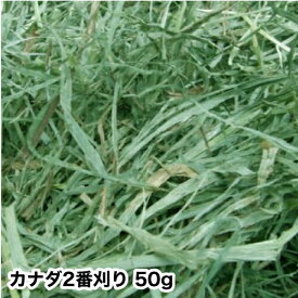 ウサギ 牧草 チモシー うさぎ 2025年産新刈り入荷 【メール便のみ送料無料】　カナダ二番刈りチモシー　50g モルモット、チンチラ、テグーに ウサギ エサ モルモット フード 兎　モルモット　格安 うさぎ 用品うさぎの牧草　楽天　市場
