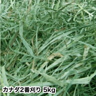 ウサギ 牧草 チモシー うさぎ 2025年産新刈り入荷 カナダ 二番刈り チモシー 　5kg うさぎ モルモット チ…