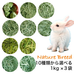 ETM q `V[  yyz q `V[yz@q@ǂł@ǂ@1kgx3 ETM GT @yVs@q@yV@s@q s@Ԋ Ԋ