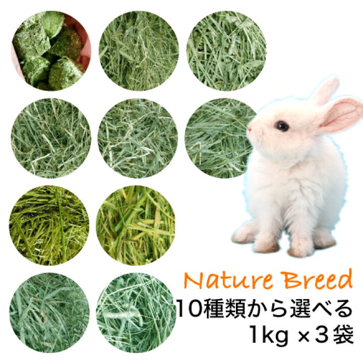 楽天市場 うさぎ 牧草 チモシー 送料無料 牧草 どれでも よりどり １ｋｇx３袋 ウサギ エサ 楽天市場 牧草 楽天 市場 牧草 市場 一番刈り 二番刈り 三番刈り １番狩り ２番狩り ３番狩り 安い Sss うさぎの牧草ネイチャーブリード