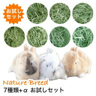 ウサギ 牧草 チモシー うさぎ 土日祝も出荷　【あす楽】【送料無料】チモシーだけで7種類のお試し牧草セ…