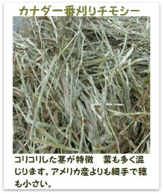 ウサギ 牧草 チモシー うさぎ 【送料無料】 カナダ 一番刈り チモシー 1kgx3袋 チモシー ウサギ　エサ 牧草 うさぎの牧草 1番刈り 1番刈り ティモシー　カナダ産　楽天市場　牧草　楽天　市場　楽天　市場　牧草 ss020506