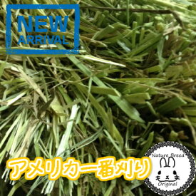 ウサギ 牧草 チモシー うさぎ 2025新刈り入荷 【定期購入】アメリカ一番刈り シングルプレス 1kgアメリカ産【ウサギ　エサ】【牧草】