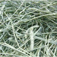 ウサギ 牧草 チモシー うさぎ 2025新刈り入荷 【定期購入】チモシー【送料無料】アメリカ 産 一番刈り チ…
