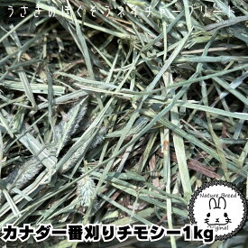 ウサギ 牧草 チモシー うさぎ カナダ一番刈りチモシー　1　kg　牧草、うさぎ、モルモット、チンチラ、テグーに　 うさぎ 牧草 チモシー うさぎの牧草　楽天市場　牧草　楽天　市場　楽天　市場　牧草 super202606 TM