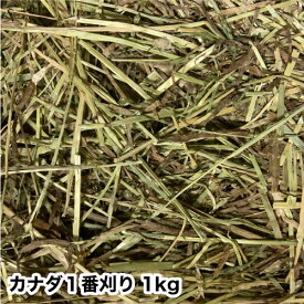 【 送料無料 】カナダ一番刈り チモシー 1kg チモシー ウサギ エサ 牧草 1番刈り 1番刈り ティモシー うさぎ の 牧草　楽天市場　牧草　楽天　市場　楽天　市場　牧草 SSS