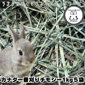 ETM q `V[  yz Ji_ Ԋ `V[ 1kgx5 `V[ ETM@GT q   q@Ji_Y 1Ԋ 1Ԋ eBV[ bg@yVs@q