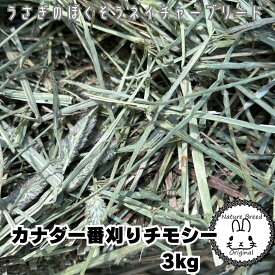 ウサギ 牧草 チモシー うさぎ 【あす楽】カナダ産一番刈りチモシー　3kg　牧草　うさぎ　モルモット　チンチラ　テグーに　 うさぎ 牧草 うさぎの牧草　楽天市場　牧草　楽天　市場　楽天　市場　牧草