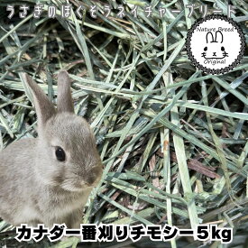 ウサギ 牧草 チモシー うさぎ 【あす楽】カナダ産一番刈りチモシー　5kg　牧草、うさぎ、モルモット、チンチラ、テグーに　 うさぎ チモシー うさぎの牧草　楽天市場　牧草　楽天　市場　楽天　市場　牧草