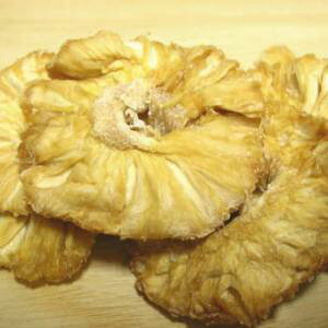 ETM q `V[  _EY@قс@pC@50g Ȃp@hCt[c@_ETM GT bg t[h e@bg@q i  pi