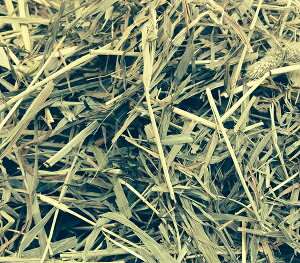 2025V ETM q `V[  yyzyzAJԊVOvX1kgx5܃ETM GT bg t[h e@bg@q i  pi