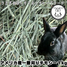 ウサギ 牧草 チモシー うさぎ 2024新刈り入荷 アメリカ一番刈り シングルプレス チモシー1kg アメリカ産【ウサギ　エサ】【牧草】 ss020506