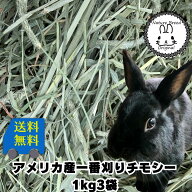 ウサギ 牧草 チモシー うさぎ 2025新刈り入荷 送料無料 アメリカ産一番刈り チモシー シングルプレス チ…