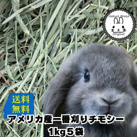 ウサギ 牧草 チモシー うさぎ 土日祝も出荷 2025新刈り入荷 あす楽　送料無料　アメリカ 産 一番刈り チモシーシングルプレチモシー1kg x5袋　うさぎ　ウサギ　モルモット　草食ペット　主食　1番狩り　1番刈り　市場　楽天　牧草　ラビット　フード