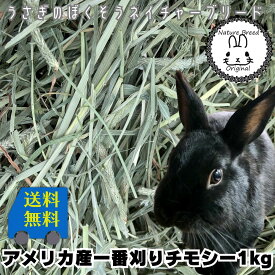ウサギ 牧草 チモシー うさぎ 土日祝も出荷 2025新刈り入荷 あす楽 送料無料 アメリカ産チモシー 一番刈り シングルプレス 1kg ウサギ エサ 牧草 送料込 モルモット 草食ペット向き　牧草　1番刈り　1番刈　一番狩り　アメチモ　アメリカンチモシー　市場　牧草　楽天