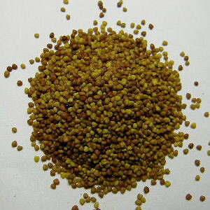 ETM q `V[  q̎@N[o[@110gyDM֑ΉiEDM֑z