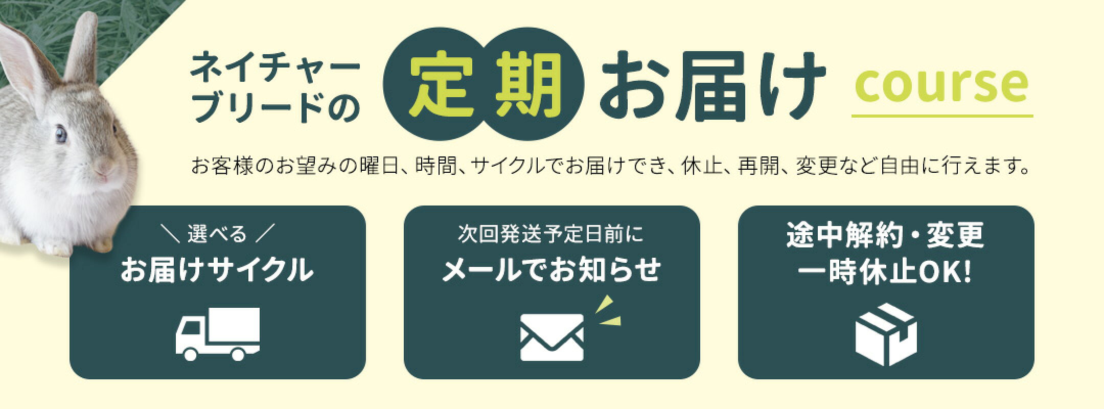 定期購入