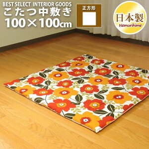 zc ~ ` 100×100cm }[ 100% ŖȐc 킢 { ~Pi LbY q hEty Op }bg CeA ybg P