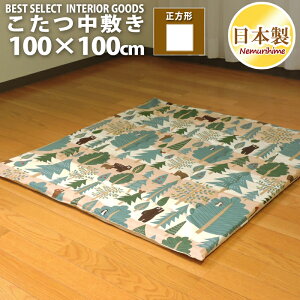 zc ~ ` 100×100cm xA hEty Op }bg 100% ŖȐc k {Pi LbY q CeA P