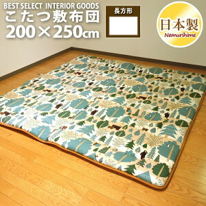 ~zc ` 200×250cm xA { IbNX n 100% k |GXeŐc Pi LbY hEty Op }bg q CeA P