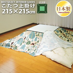 zcJo[ |^Cv 唻` 215×215cm xA }`Jo[ { IbNX 100%  P