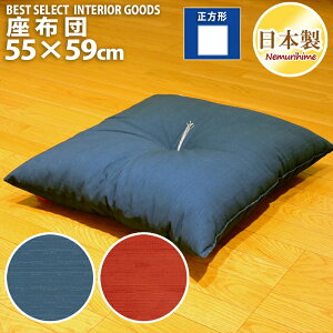 ���唻 ���z�c 55×59cm �ۃJ���[ ���b�h �u���[ �ېD �N�b�V���� ���z�c ���{�� ����P