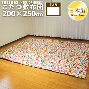 zc ~zc J[jo ` 200×250cm { IbNX n 100% 킢 |GXeŐc Pi LbY O q CeA pi P