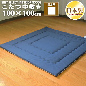 zc ~ ` 100×100cm fj hEty Op }bgJWA ŖȐc n  { ~zcPi P